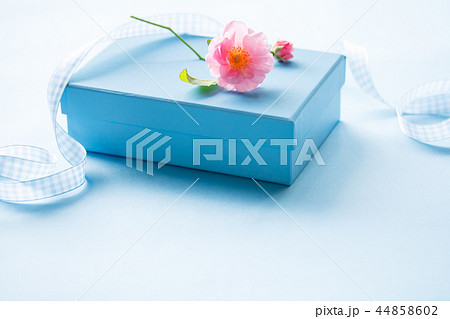 プレゼント 44858602