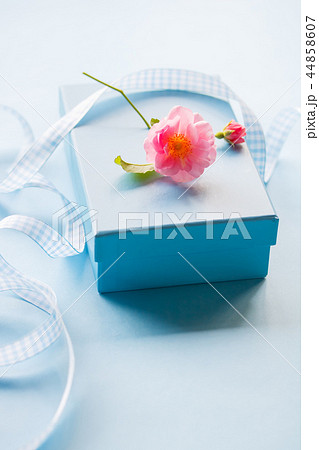 プレゼント プレゼント 44858607