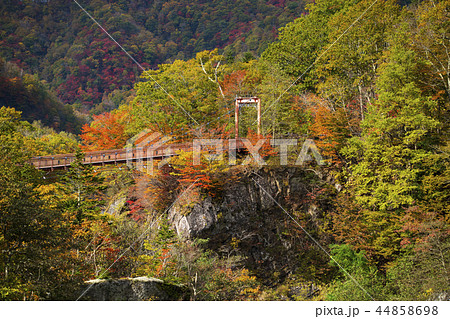 紅葉 夕張 滝の上公園 の写真素材
