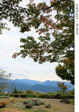 サービスエリア(山梨県) サービスエリア(山梨県) 44858809