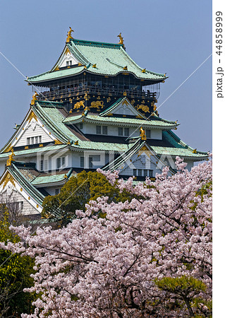 大阪城と桜 大阪城と桜 44858999