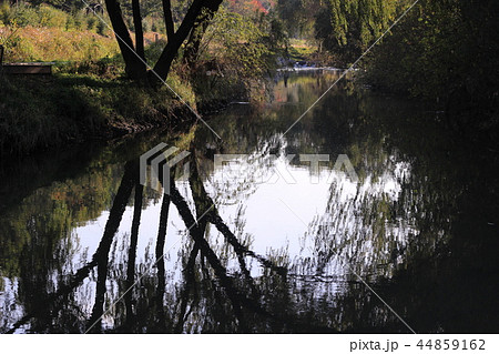 ソウル 良才川 森 44859162