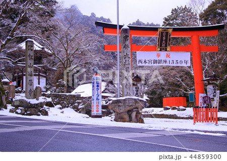 日吉大社（大津市坂本）境内の冬景色 44859300