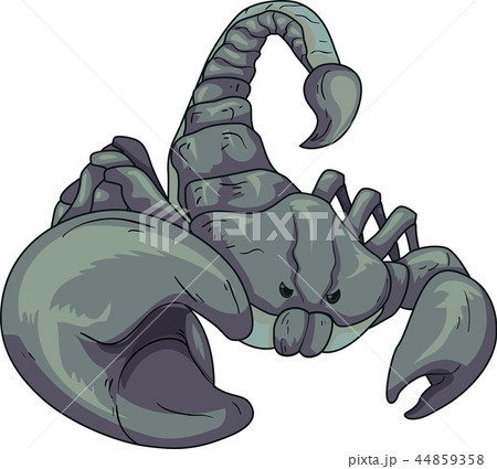Scorpion Illustration 44859358