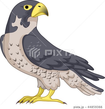A Falcon Illustration 44859366