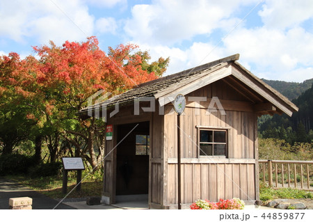 田舎の紅葉したバス停 44859877