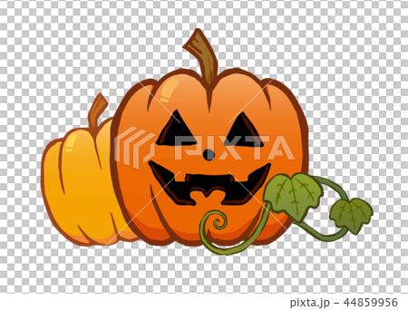 ジャック・オー・ランタン ジャック・オー・ランタン 44859956