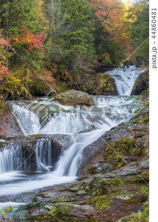 長野県　おしどり隠しの滝 44860481