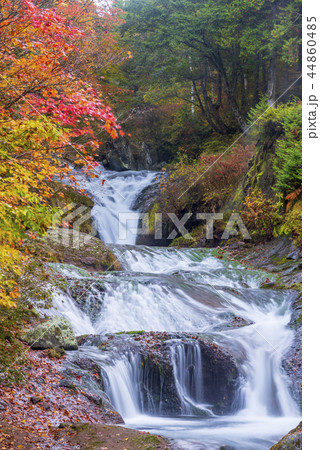 長野県　おしどり隠しの滝 44860485