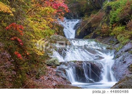 長野県　おしどり隠しの滝 44860486