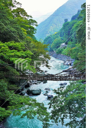 秘境・祖谷のかずら橋 秘境・祖谷のかずら橋 44860871