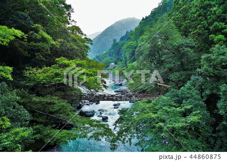 秘境・祖谷のかずら橋 44860875
