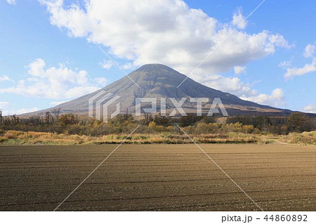 喜茂別町留産から見る秋の羊蹄山 44860892