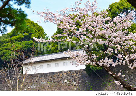 桜景 皇居 富士見多聞櫓 桜景 皇居 富士見多聞櫓 44861045
