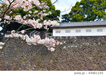 桜景 皇居 富士見多聞櫓 桜景 皇居 富士見多聞櫓 44861193
