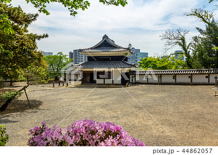 南櫓 松江城 二の丸上の段 44862057