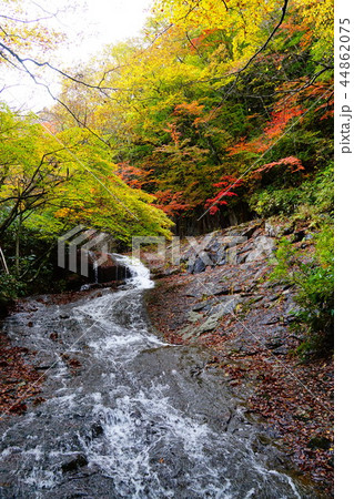 安達太良山　昇竜滝 44862075