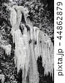 古賀の滝 2018年 氷瀑 44862879
