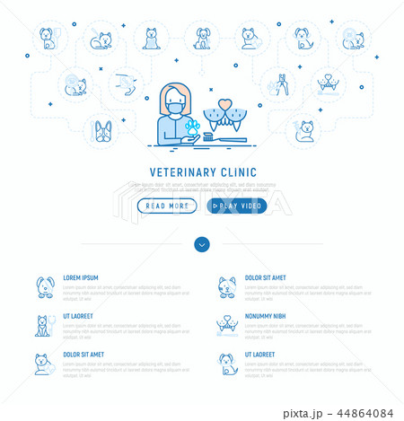 Veterinary clinic concept. Thin line icons Veterinary clinic concept. Thin line icons 44864084