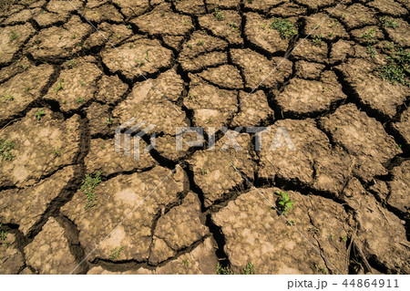 cracked soil background.  44864911