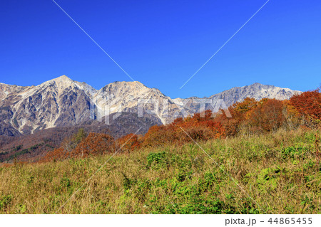 岩岳マウンテンビュー 44865455