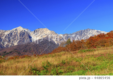 岩岳マウンテンビュー 44865456
