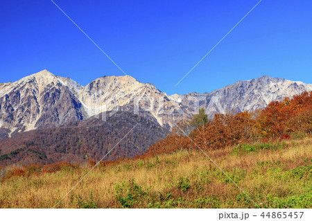 岩岳マウンテンビュー 44865457