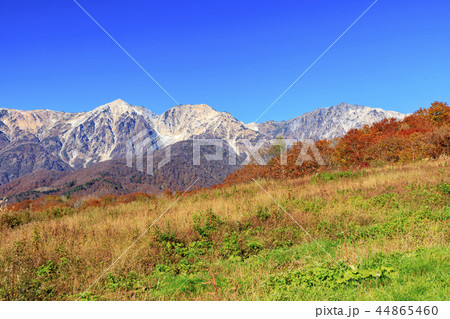 岩岳マウンテンビュー 44865460