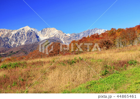 岩岳マウンテンビュー 44865461