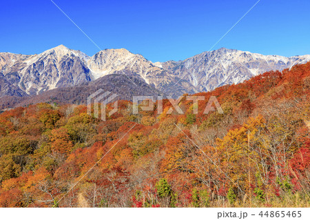 岩岳マウンテンビュー 44865465