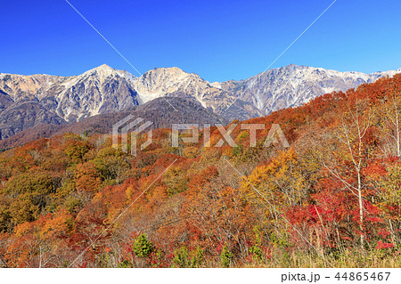 岩岳マウンテンビュー 44865467