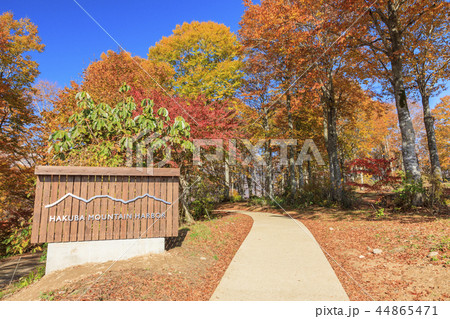 岩岳マウンテンビュー 44865471