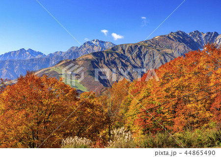 岩岳マウンテンビュー 44865490