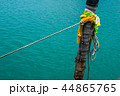 Boating knot rope tied around coconut tree. Boating knot rope tied around coconut tree. 44865765