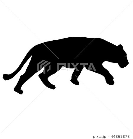 Silhouette of the lioness on a white background Silhouette of the lioness on a white background 44865878