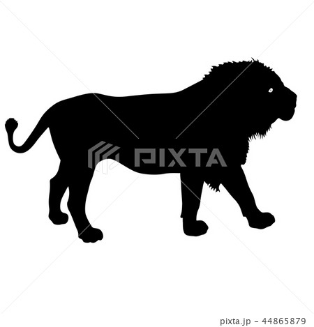 Silhouette Of The Lion On A White Backgroundのイラスト素材