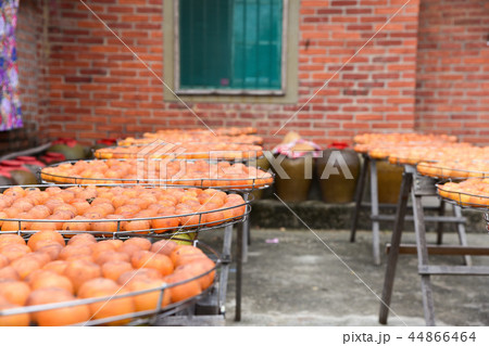 かき カキ 柿 44866464