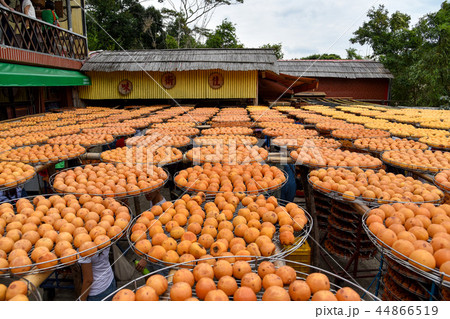 かき カキ 柿 44866519