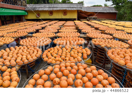 かき カキ 柿 44866522