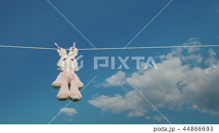 Plush rabbit hanging on a rope, dried in the sun Plush rabbit hanging on a rope, dried in the sun 44866693