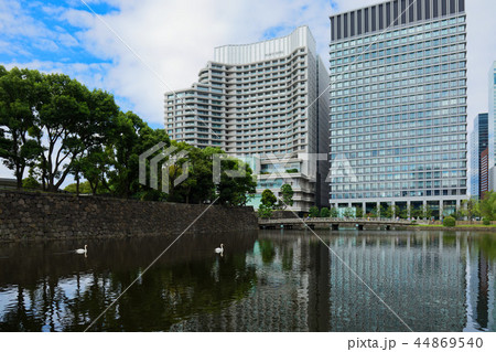 日比谷通り沿いの高層ビル街と日比谷濠に映える景観 白鳥 日比谷通り沿いの高層ビル街と日比谷濠に映える景観 白鳥 44869540
