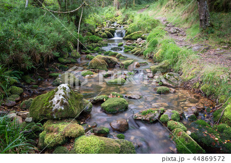 Camino Primitivo, Asturias, Spain 44869572