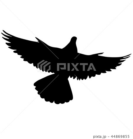 Concept of love or peace silhouettes doves 44869855