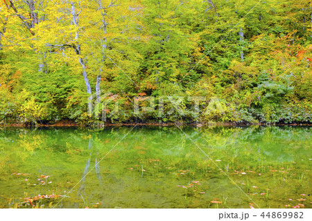 紅葉の鉈池 44869982