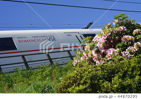 初夏の箱根路 44870295