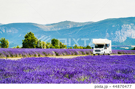 Motorhome in a lavender field in Provence, France 44870477