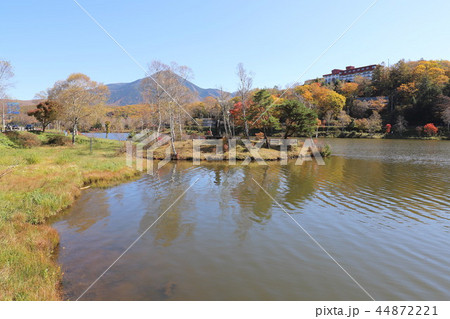 白樺湖の秋景色 白樺湖の秋景色 44872221