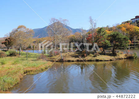 白樺湖の秋景色 白樺湖の秋景色 44872222