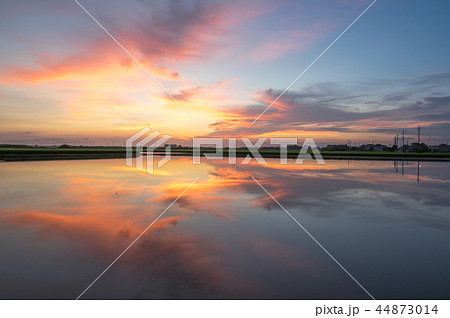水はりした田に日の出の水鏡 水はりした田に日の出の水鏡 44873014