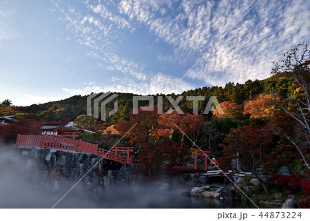 霧に囲まれる勝尾寺と紅葉 44873224